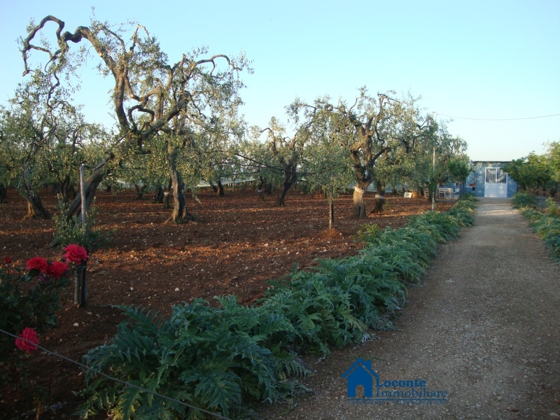 Terreno Residenziale Capurso BA244918